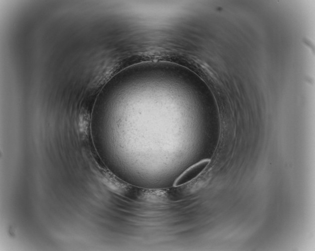 X0000096940576200802081209
