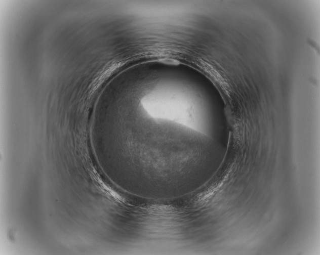 X0000096940577200802081208