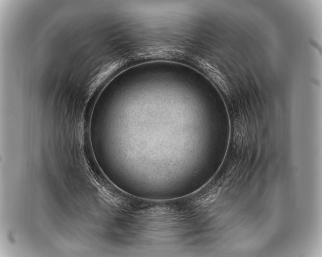 X0000096940578200802081208
