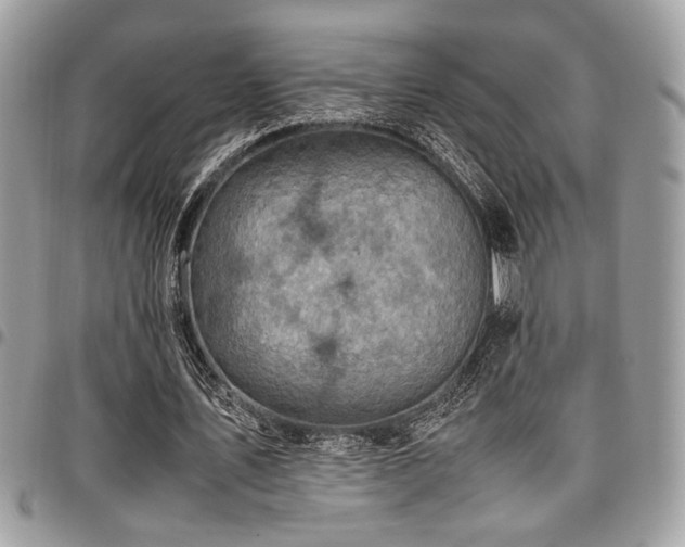 X0000096940579200802081208