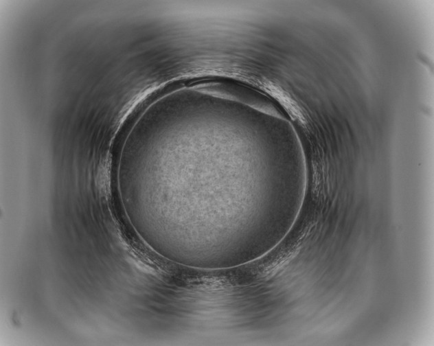 X0000096940580200802081208