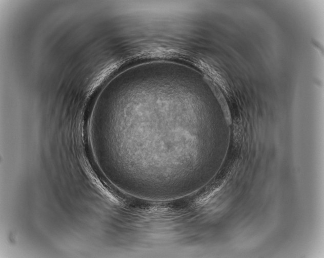 X0000096940581200802081208