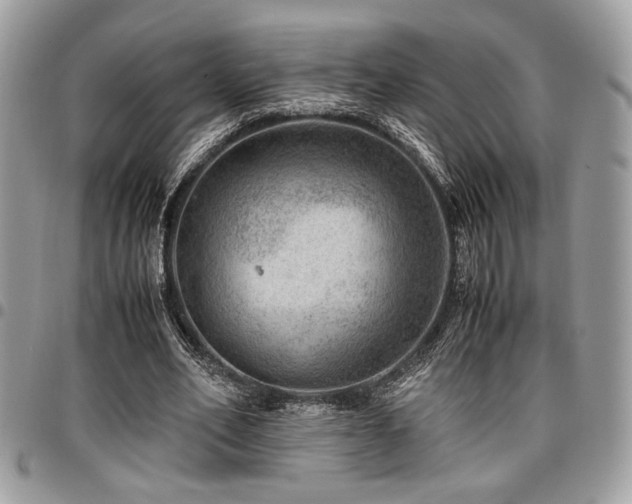 X0000096940582200802081208