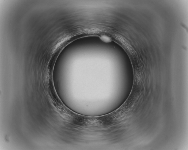 X0000096940583200802081208