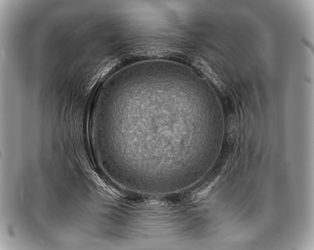 X0000096940585200802081208