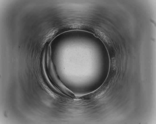 X0000096940589200802081208