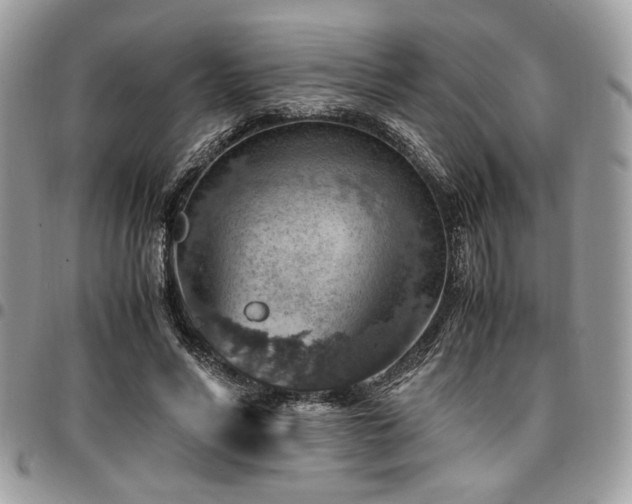 X0000096940590200802081208
