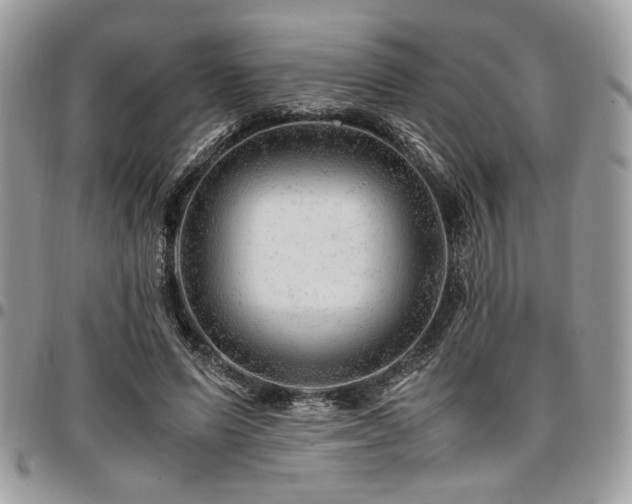 X0000096940591200802081208