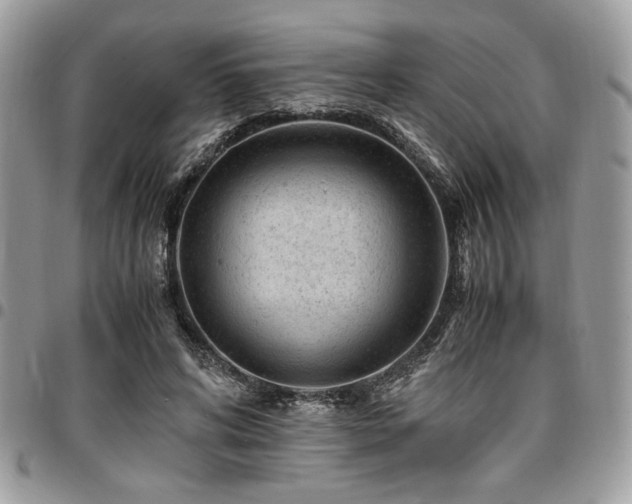 X0000096940592200802081208