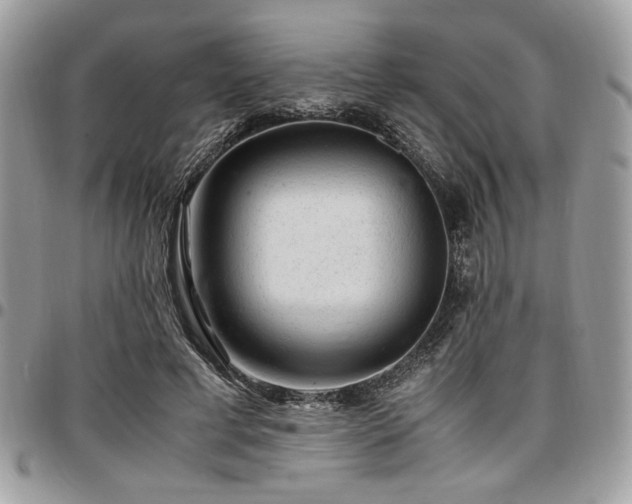 X0000096940593200802081208