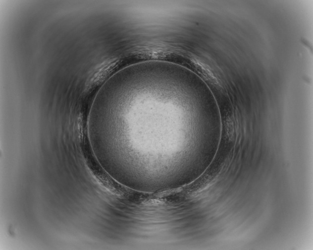 X0000096940594200802081208