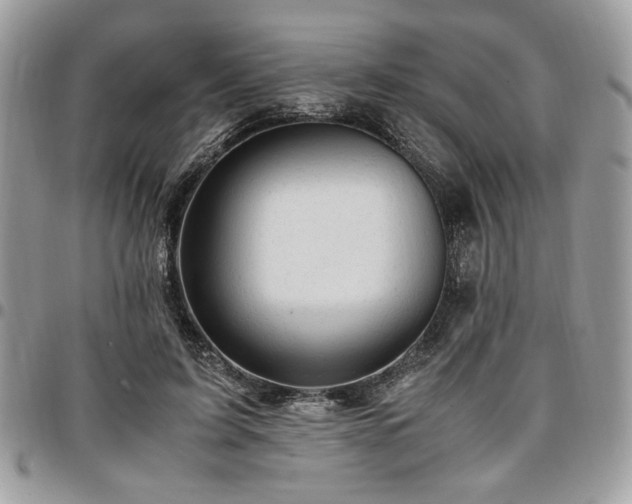 X0000096940595200802081208