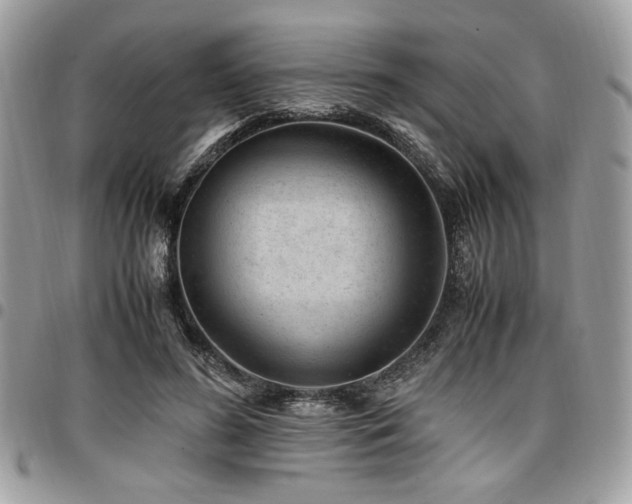 X0000096940596200802081208