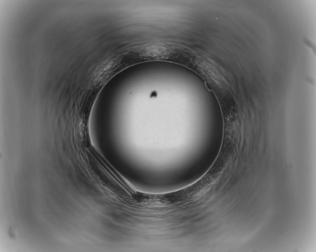X0000096940597200802081208
