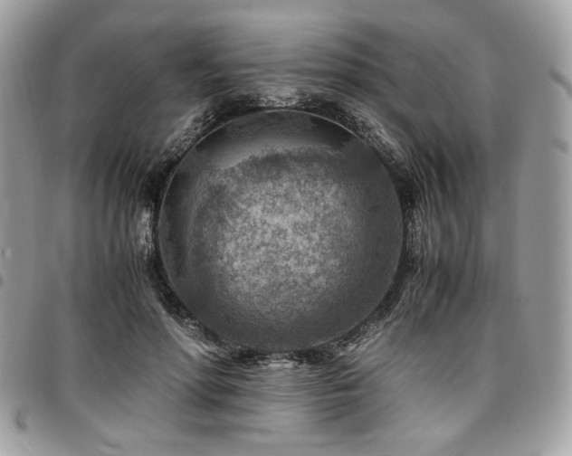 X0000096940598200802081208