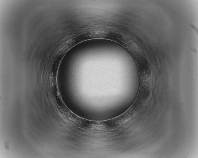 X0000096940599200802081208