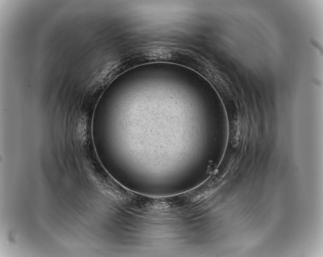 X0000096940600200802081208