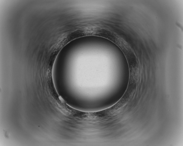 X0000096940601200802081208