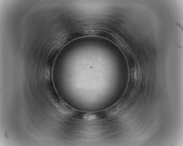 X0000096940602200802081207
