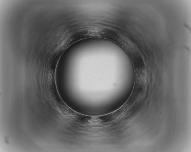 X0000096940603200802081207