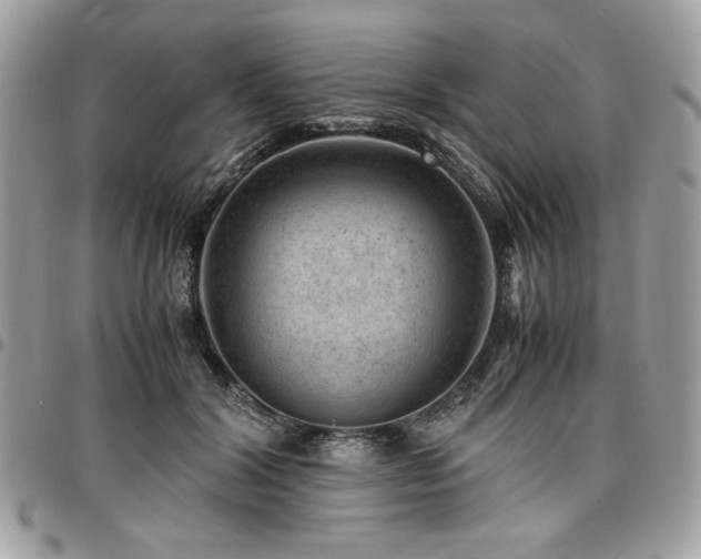 X0000096940604200802081207