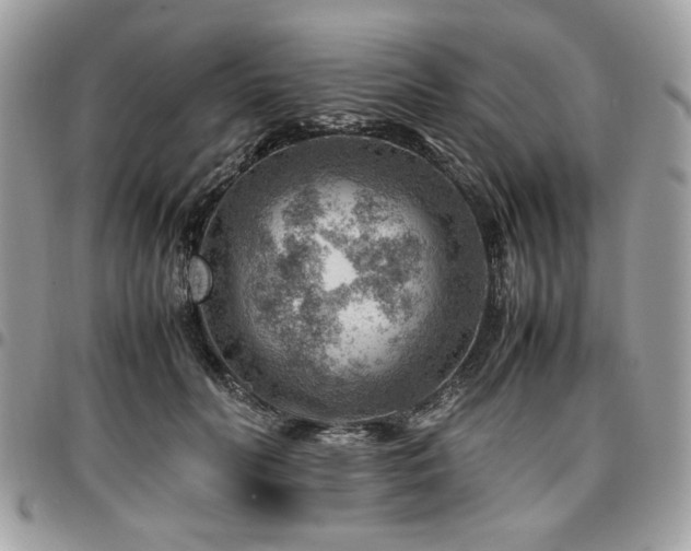 X0000096940606200802081207