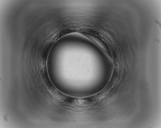 X0000096940607200802081207
