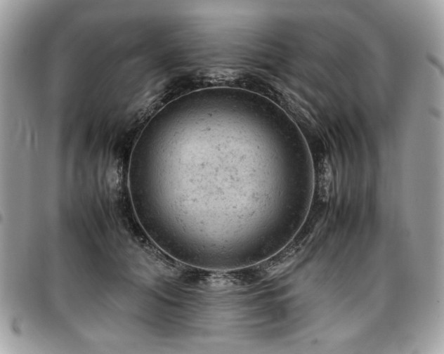 X0000096940608200802081207