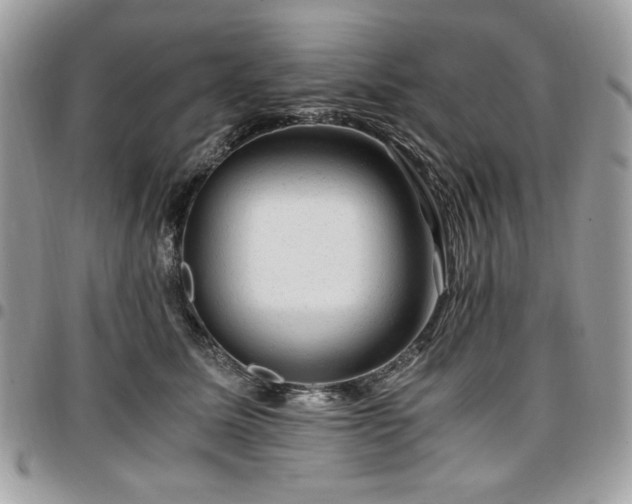 X0000096940611200802081207