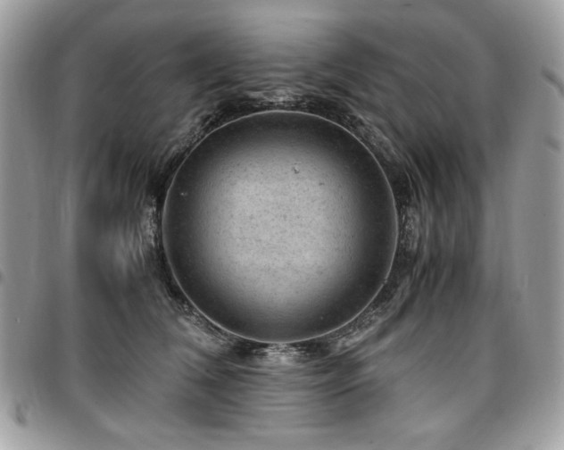 X0000096940612200802081207