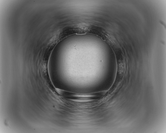 X0000096940613200802081207