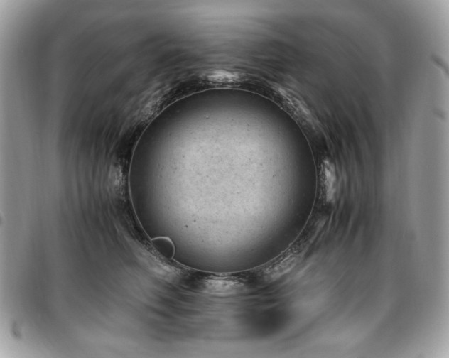 X0000096940614200802081207