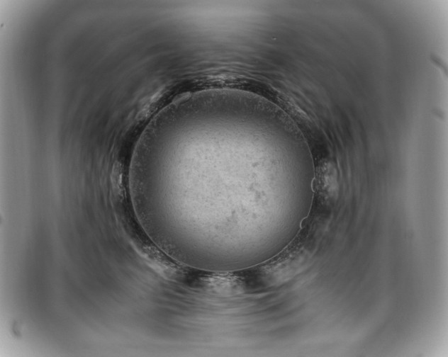 X0000096940615200802081207