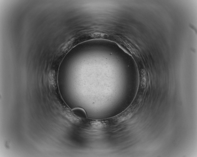 X0000096940616200802081207