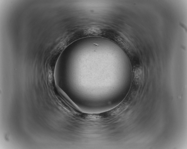 X0000096940617200802081207