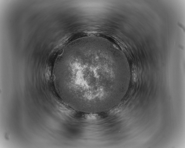 X0000096940618200802081207