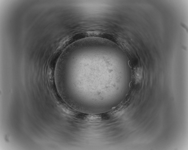 X0000096940619200802081207