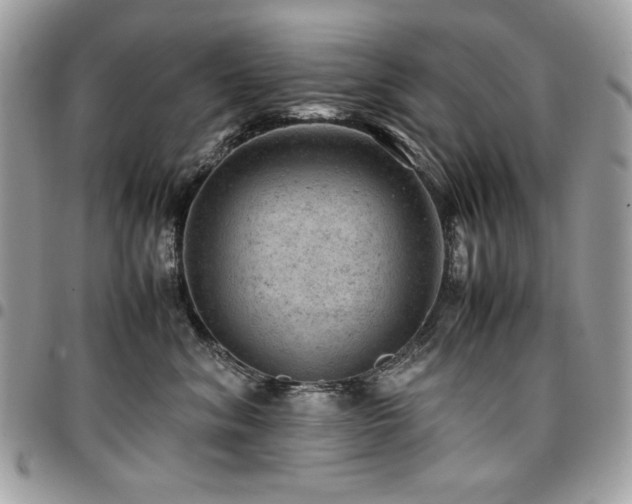 X0000096940620200802081207
