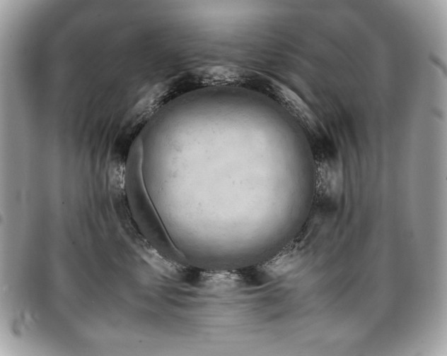X0000096940621200802081207