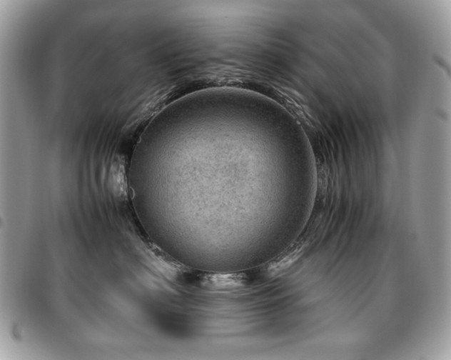 X0000096940622200802081207