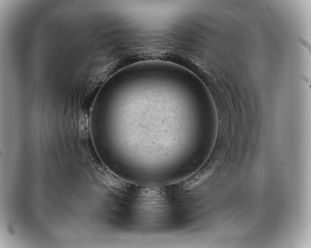 X0000096940624200802081207