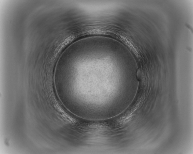 X0000096940625200802081207