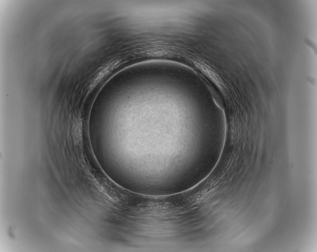 X0000096940626200802081207