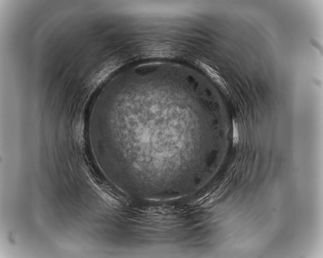X0000096940627200802081207