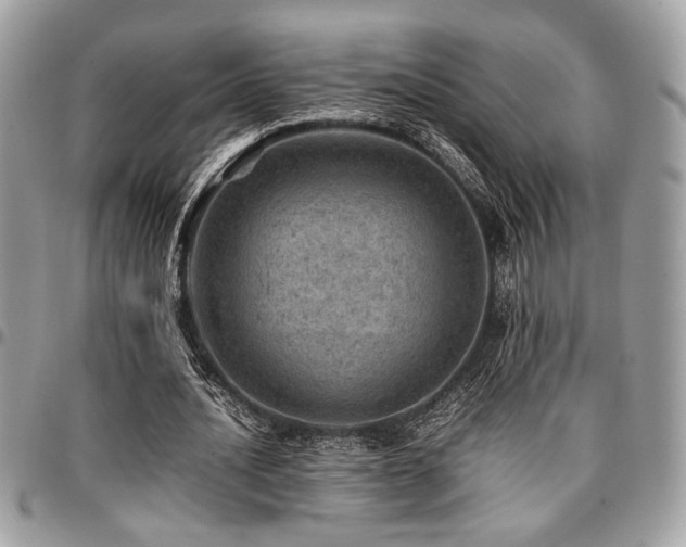 X0000096940628200802081207
