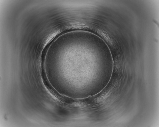 X0000096940630200802081207