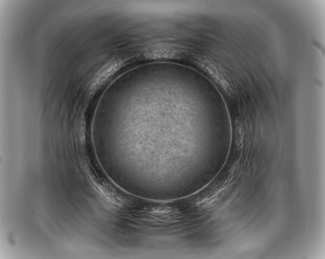 X0000096940631200802081207