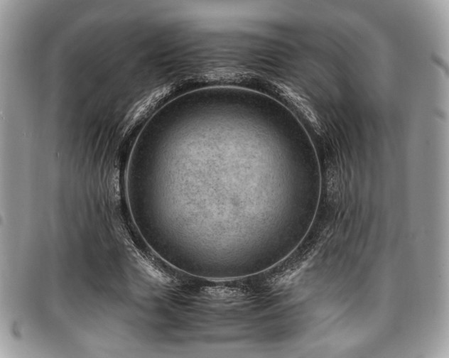 X0000096940633200802081207
