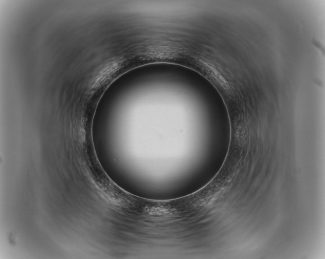 X0000096940635200802081207