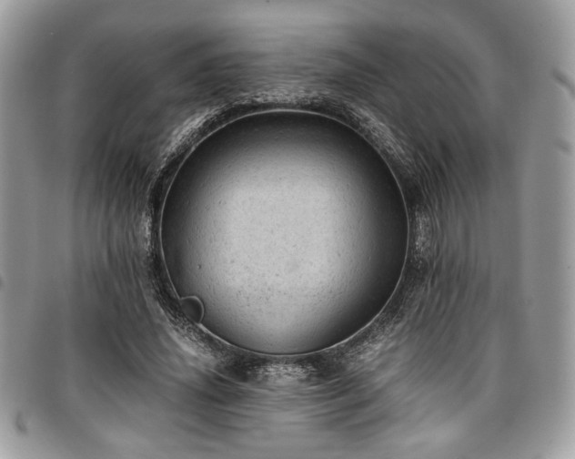 X0000096940636200802081207